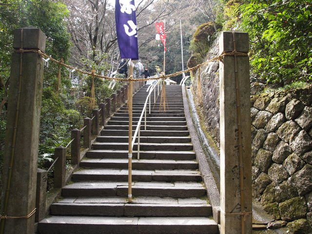 🙏 입목관음(타치키칸논 안요지) 이미지 1